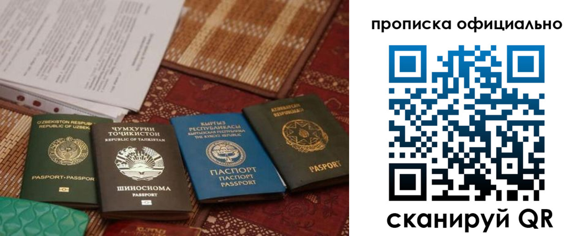 где прописаться в Петровске
